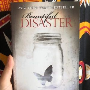 Beautiful Disaster book